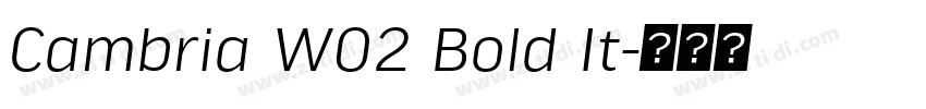 Cambria W02 Bold It字体转换